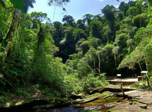 Ybycuí National Park