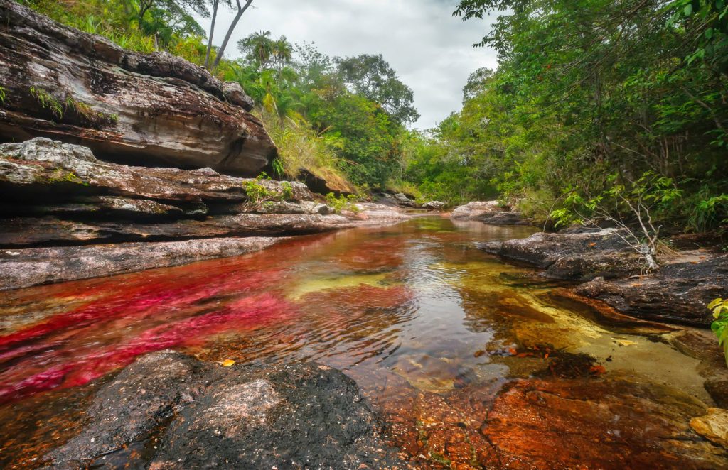 cano cristales