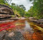 cano cristales