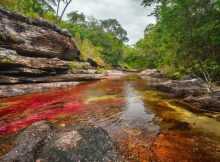 cano cristales