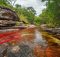 cano cristales