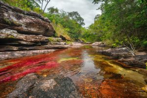 cano cristales